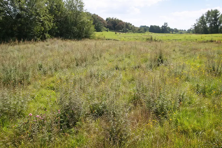 Brunbjergparken i Aabenraa